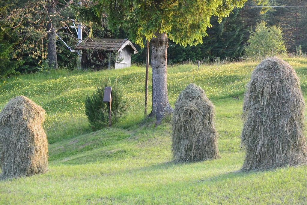 Gaestehaus Doering Mittenwald Esterno foto